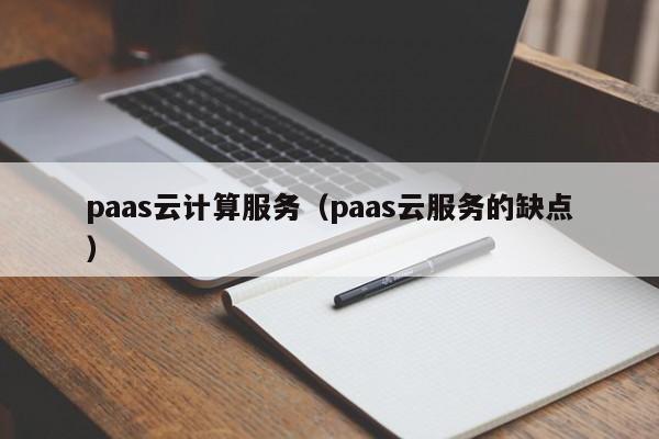 paas云计算服务（paas云服务的缺点）