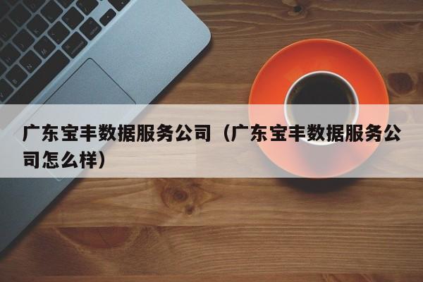 广东宝丰数据服务公司（广东宝丰数据服务公司怎么样）