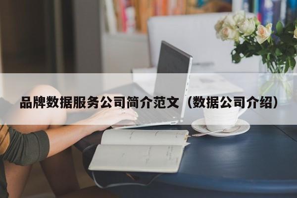 品牌数据服务公司简介范文（数据公司介绍）