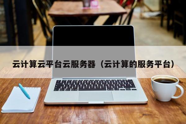 云计算云平台云服务器（云计算的服务平台）