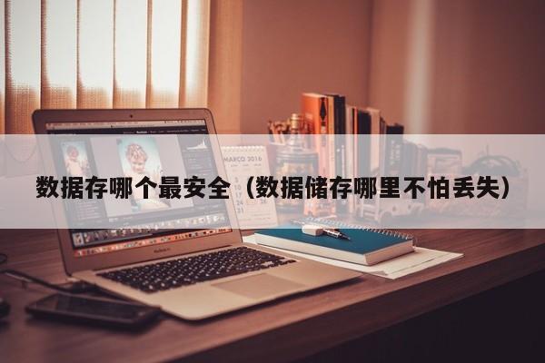 数据存哪个最安全（数据储存哪里不怕丢失）