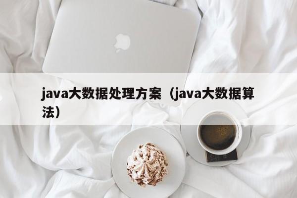 java大数据处理方案（java大数据算法）