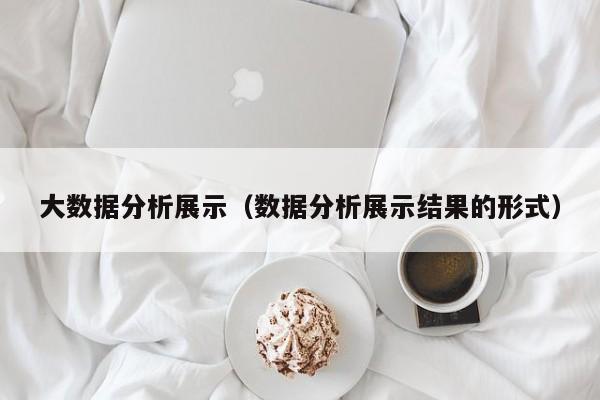 大数据分析展示（数据分析展示结果的形式）
