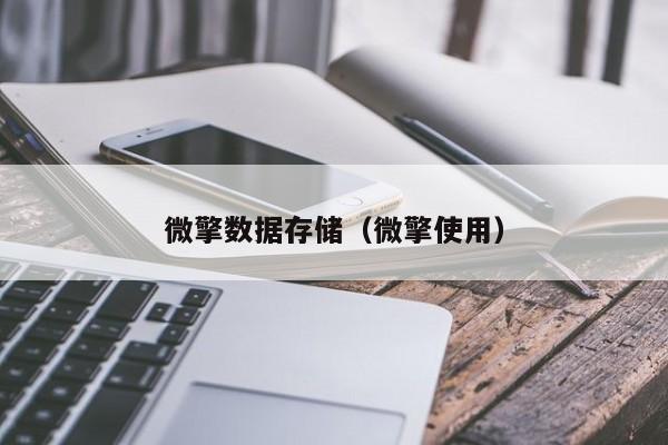 微擎数据存储（微擎使用）