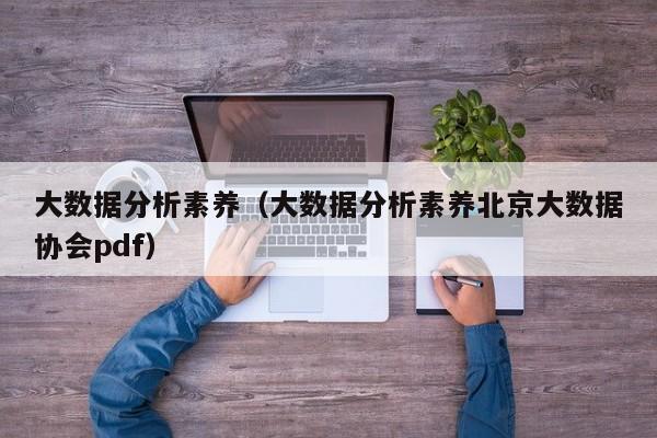 大数据分析素养（大数据分析素养北京大数据协会pdf）