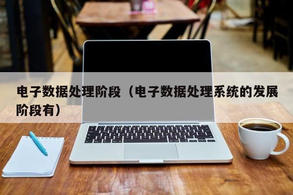 电子数据处理阶段（电子数据处理系统的发展阶段有）