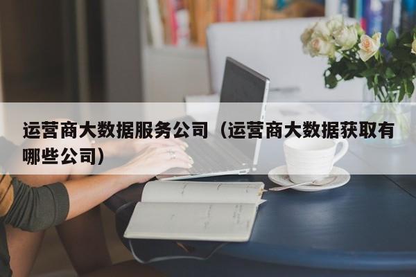 运营商大数据服务公司（运营商大数据获取有哪些公司）