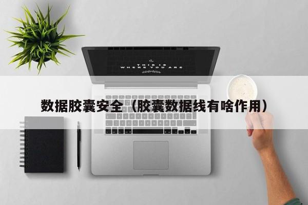 数据胶囊安全（胶囊数据线有啥作用）