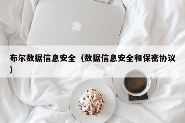 布尔数据信息安全（数据信息安全和保密协议）