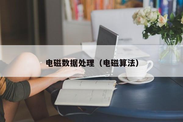 电磁数据处理（电磁算法）