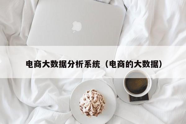 电商大数据分析系统（电商的大数据）