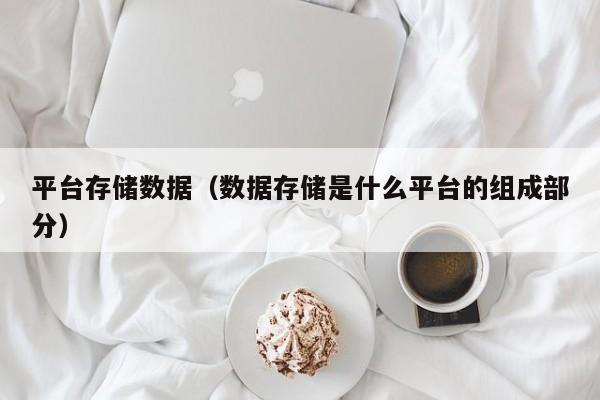 平台存储数据（数据存储是什么平台的组成部分）