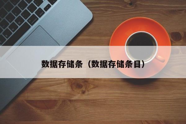 数据存储条（数据存储条目）