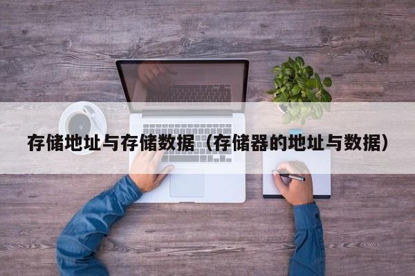 存储地址与存储数据（存储器的地址与数据）