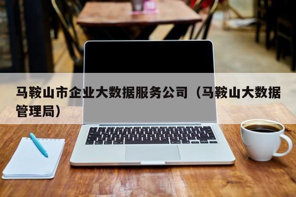 马鞍山市企业大数据服务公司（马鞍山大数据管理局）